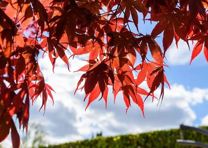 Prachtige Vakantiewoning Aan Water Met Grote Tuin *